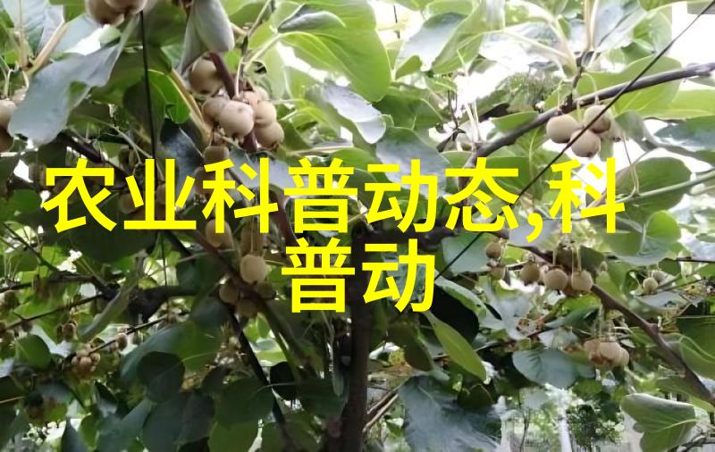 蚕豆种植技巧深度解析高产方法