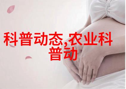 绿色草坪网-创意设计如何打造完美的家庭绿色草坪网