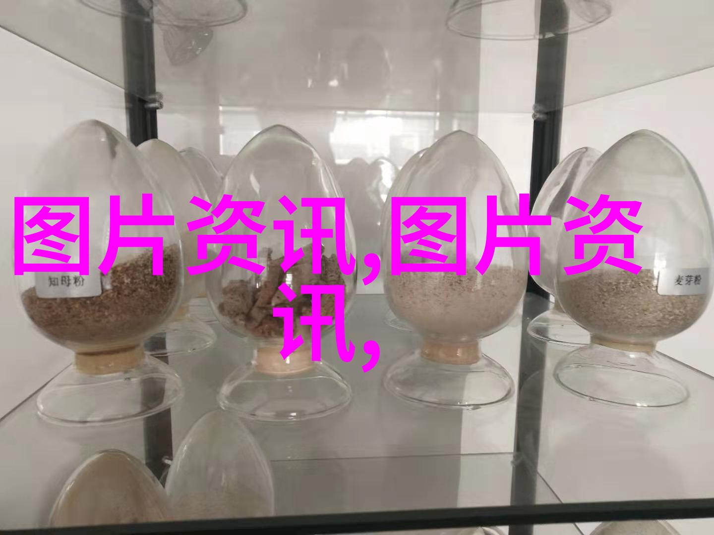 10年老银杏园林中的财富与美丽