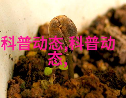 日本茶道一个关于和谐生活的艺术形式