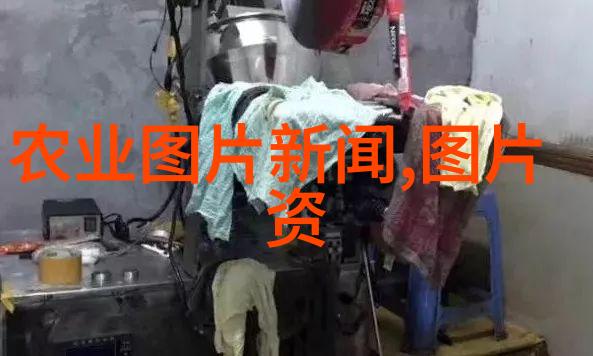 千万不要在家里水培蔬菜别让我再犯错我是如何学会不在家里水培蔬菜的
