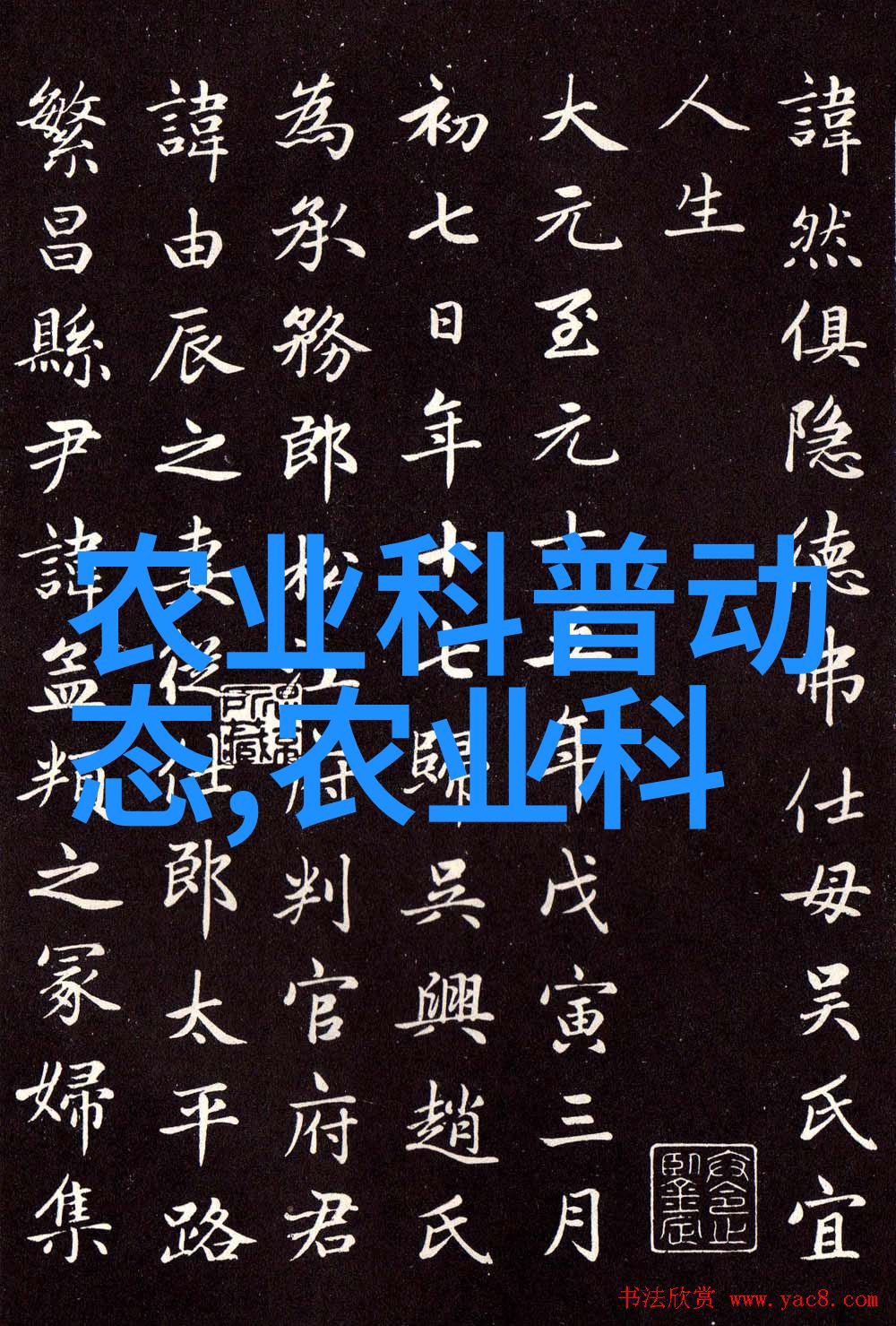 金线莲的秘密价格揭开一斤花费多少金钱的神秘面纱