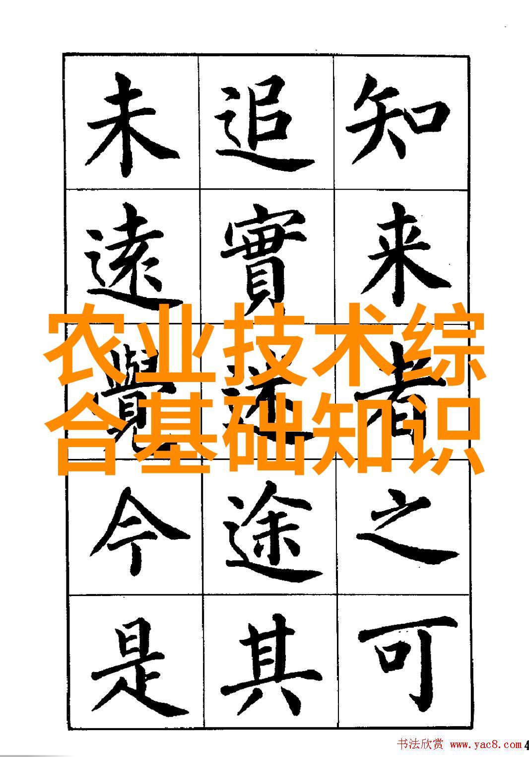茶香绕梦探秘古代茶道的哲学