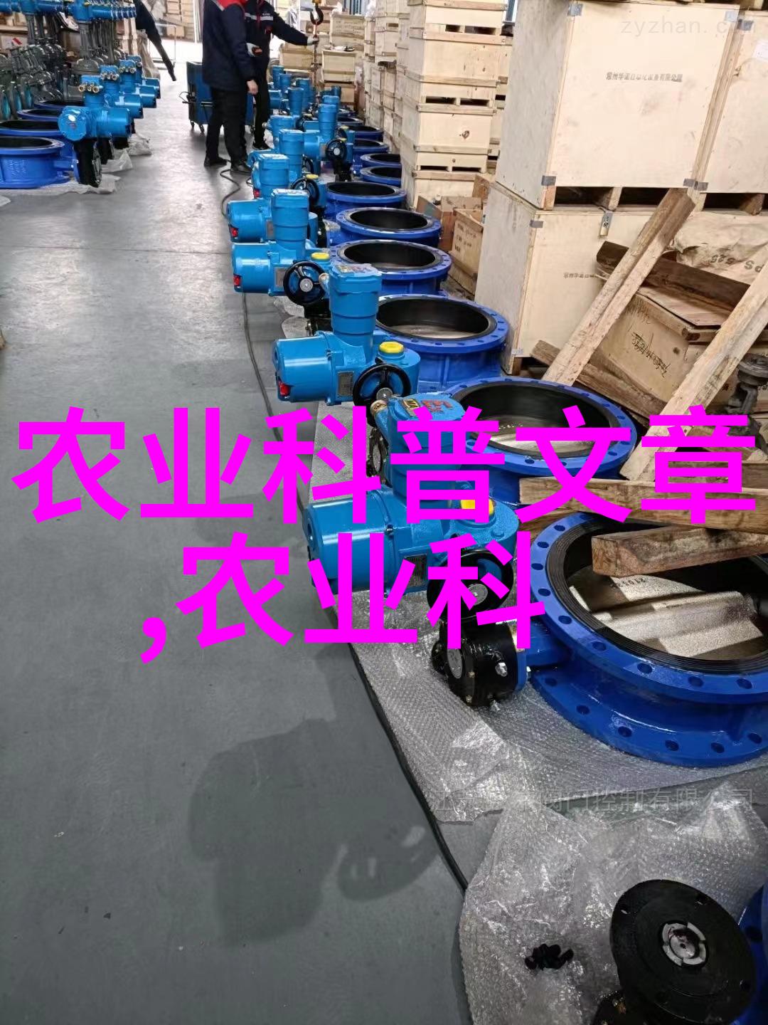 金华苗木网今日求购揭秘杨树花的无穷妙用