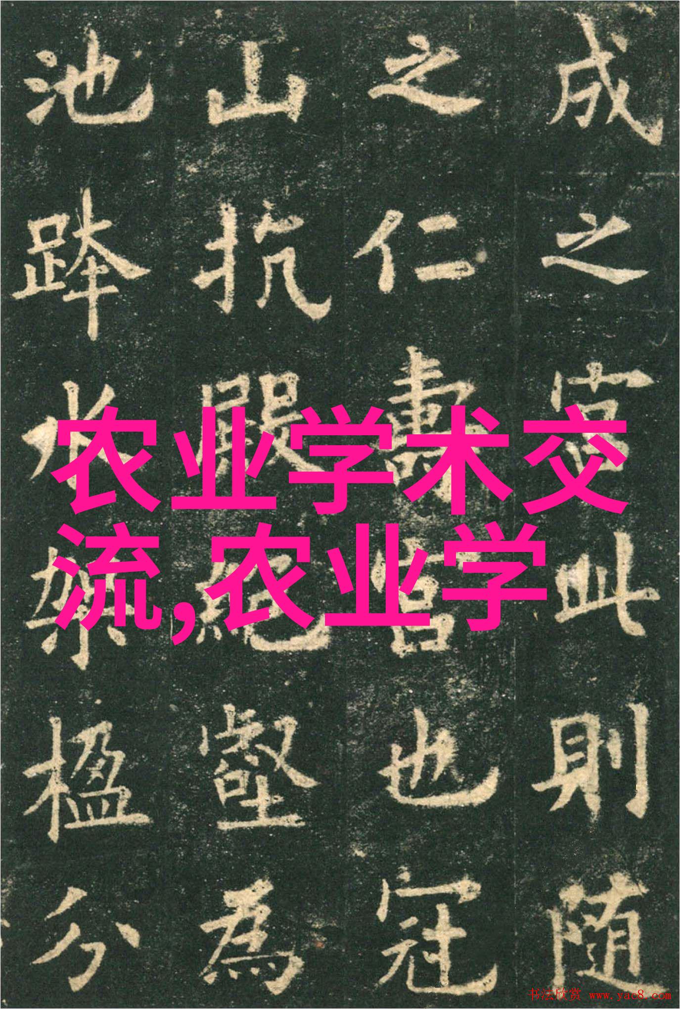 秋日丰收8月到9月的生长盛期之作物选择
