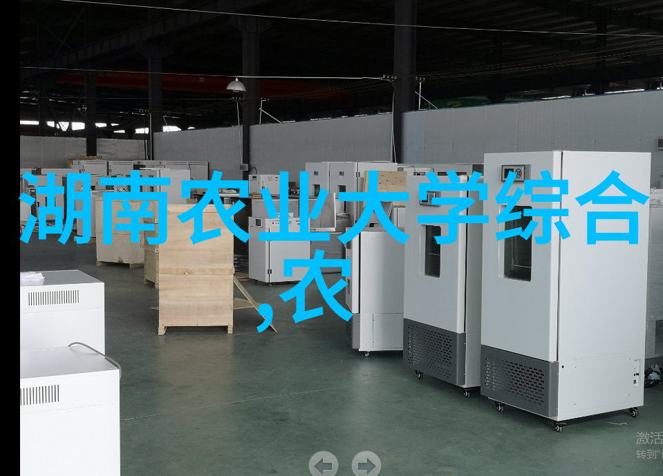 绿意盎然的沙漠河南最大蔬菜种植基地的奇迹