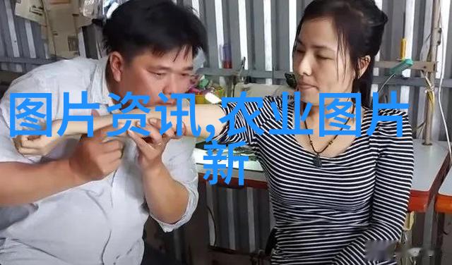 茶窝网上的奇妙世界探索不同种类的绿茶