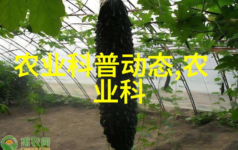 在乌鲁木齐的农机市场上究竟有哪些高效的农机具能够大幅提升作物产量