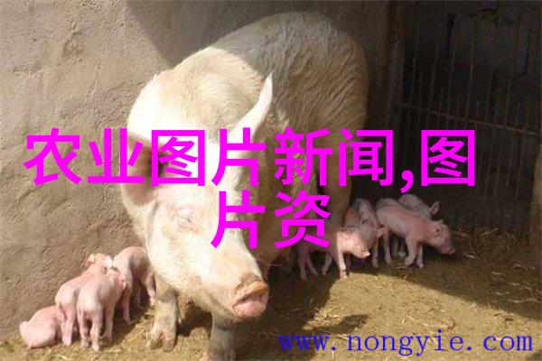 从野生到栽培转变时代背景下哪些中药材最具发展潜力