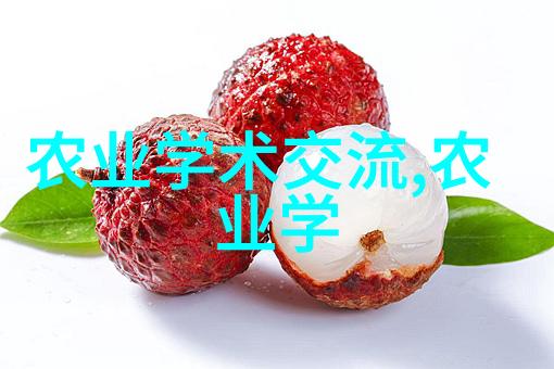 从事C1运输工作能否实现月收入过万真相大白