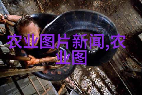 为何一些人喜欢在清晨喝红茶而非其他任何时间段