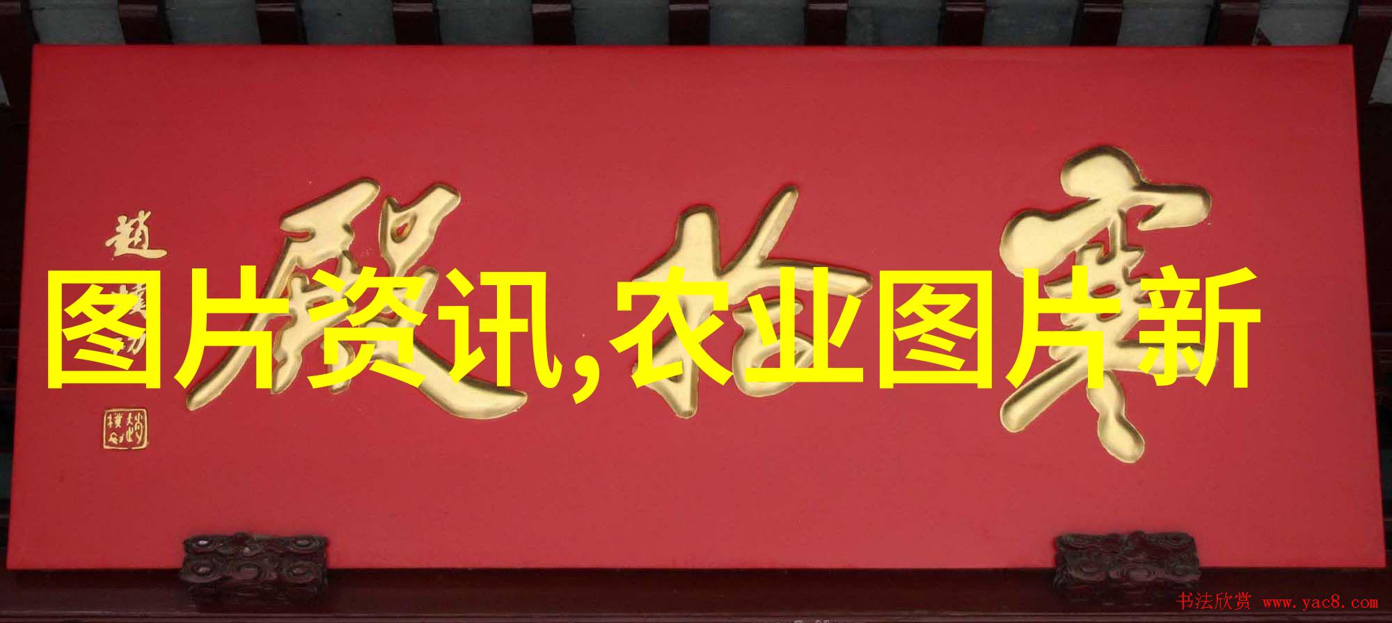 重庆农科院果苗基地栽培未来守护绿色健康