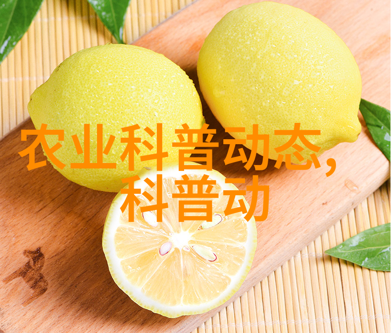 凉皮机-凉皮之王揭秘凉皮机的制作艺术与未来发展趋势