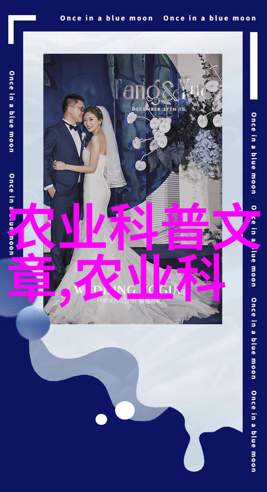 阳台小将那些日常英雄的植物故事