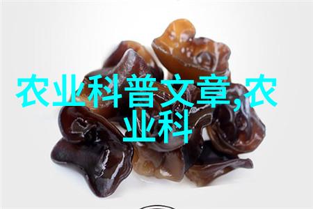 茶香缤纷揭秘正确的茶叶功效