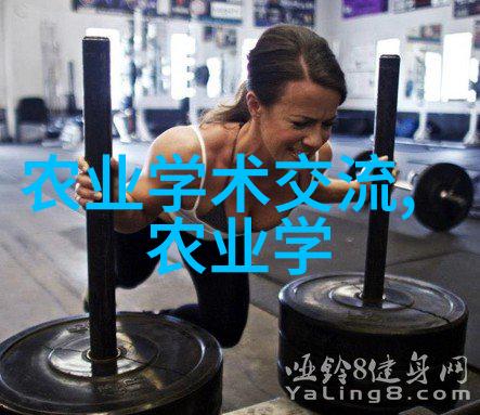 在家中摆放鸡爪槭价格12公分带来的美观与实用性有哪些优势