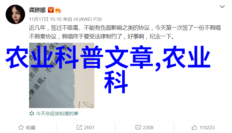 温室里的梦想一亩大棚的成本探秘