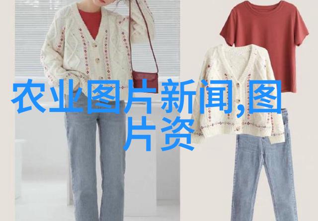 家中客厅最适宜的花卉选择舒适生活的绿意盎然伴侣