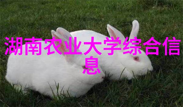 异世之双狼夺爱-跨界的爱恋两只狼在另一个世界中的争夺