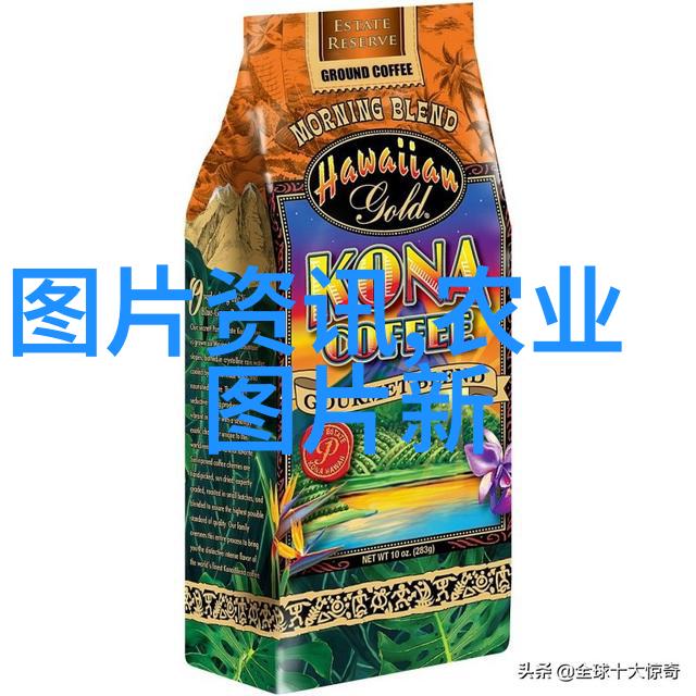 红薯叶 - 甜蜜的守护者红薯叶的营养与应用