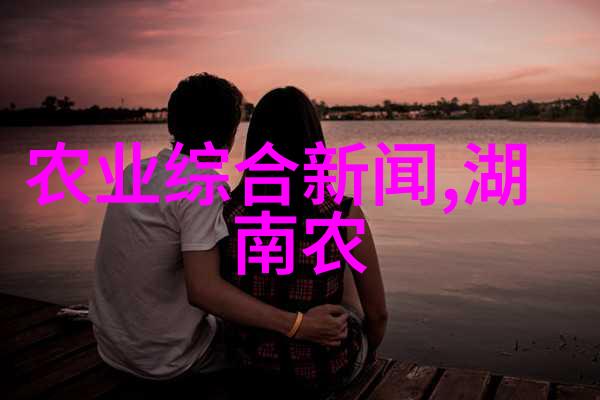 秋意浓时银杏树下追忆与展望
