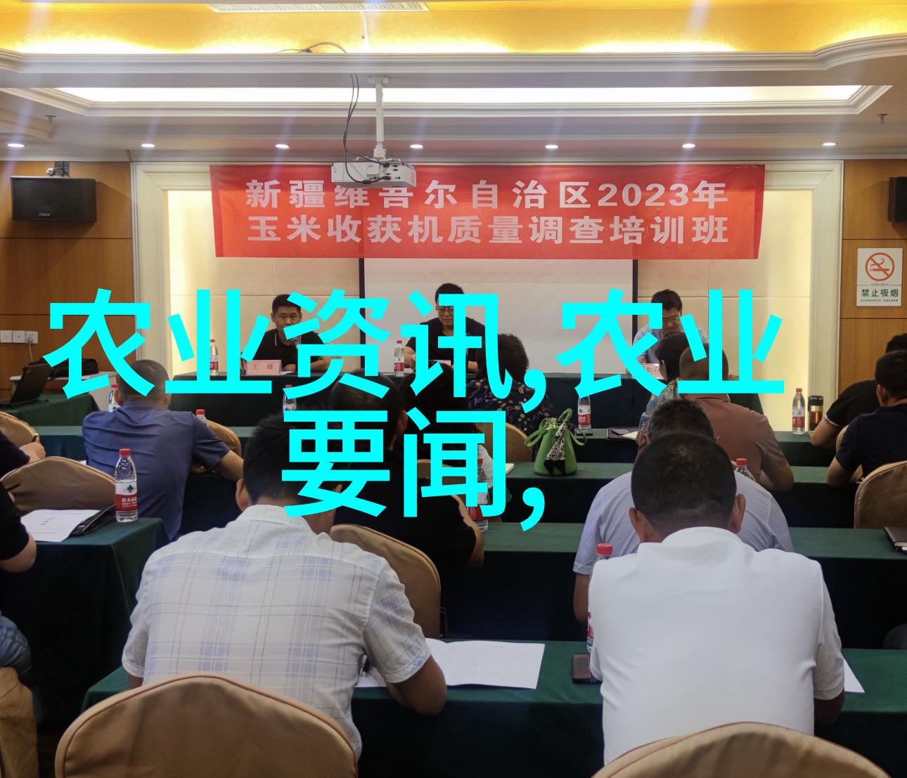 水果种子小盆栽100种多样性丰富的植物培育指南