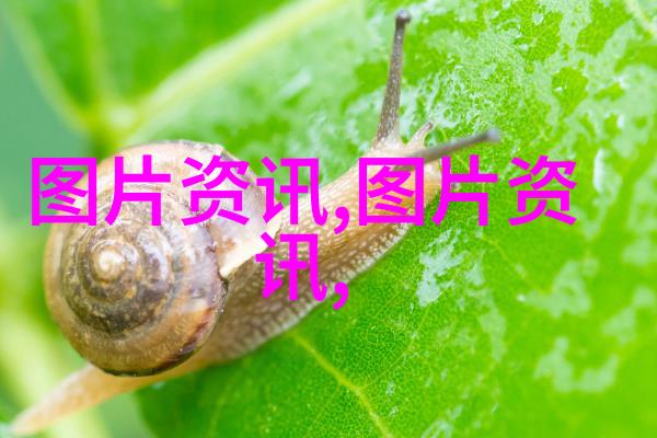 材料科学与工艺从原料到产品的创新转化