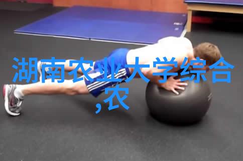 家用玉米棒输送机链条甜蜜的自动化工艺流程
