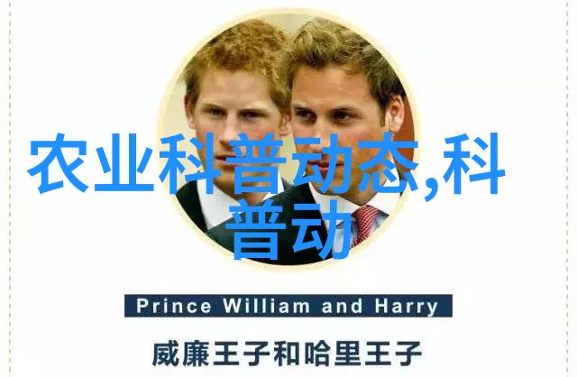 液压破碎锤高效能的重型机械工具
