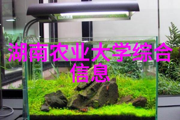 金华苗木网今日求购寻找优质的果树苗木来满足客户需求