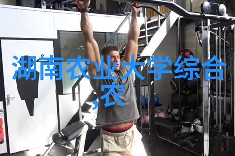 蔬菜大棚温室一亩的真实成本计算