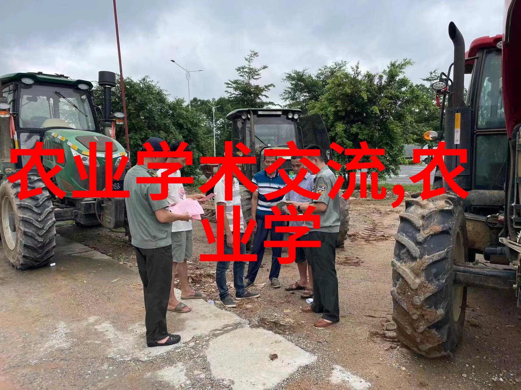 现代草药种植业的未来方向与挑战