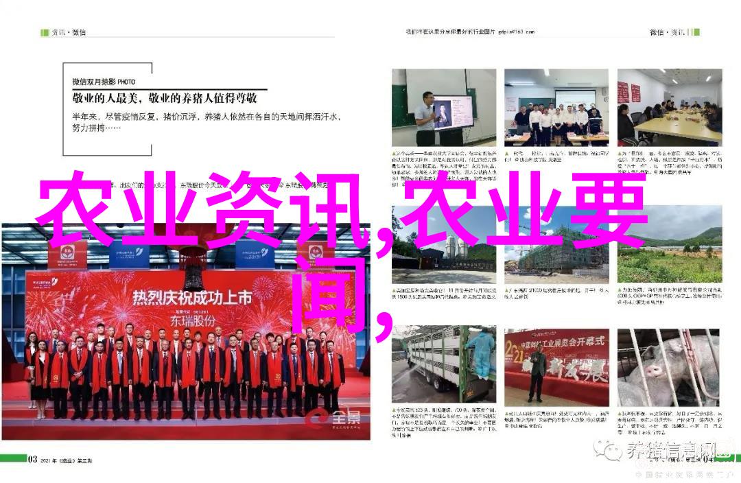 古代农业技术的精髓与实践