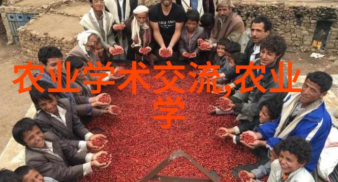 山东寿光无土栽培蔬菜技术-绿色革命如何让空气中飘浮的蔬菜成为新时代农业的奇迹