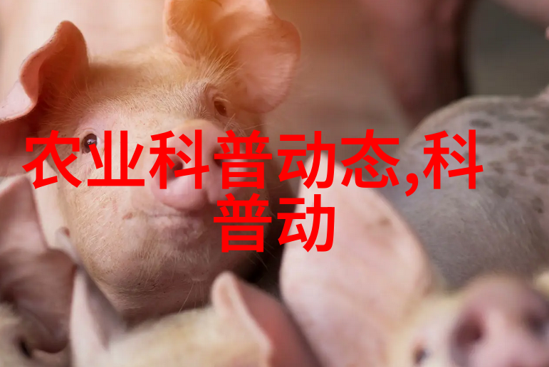 甜蜜的车厘子从果实到美食的奇妙旅程