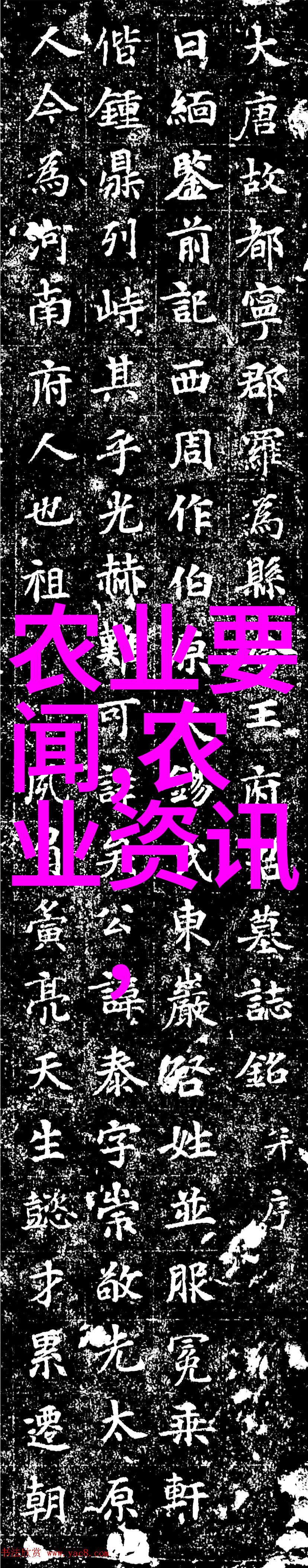 山东寿光无土栽培蔬菜技术-绿色革命探索山东寿光无土栽培蔬菜新篇章