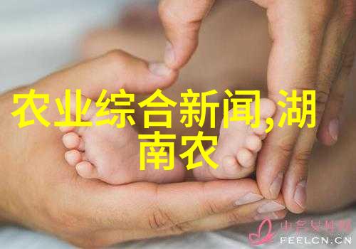 室内绿意盎然种植小物件的艺术与科学