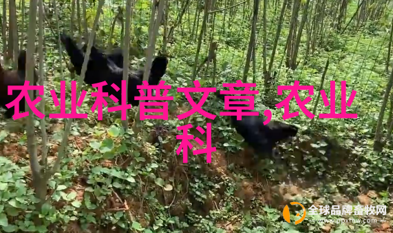 火红的金钱豹揭秘现代养殖业最热门项目