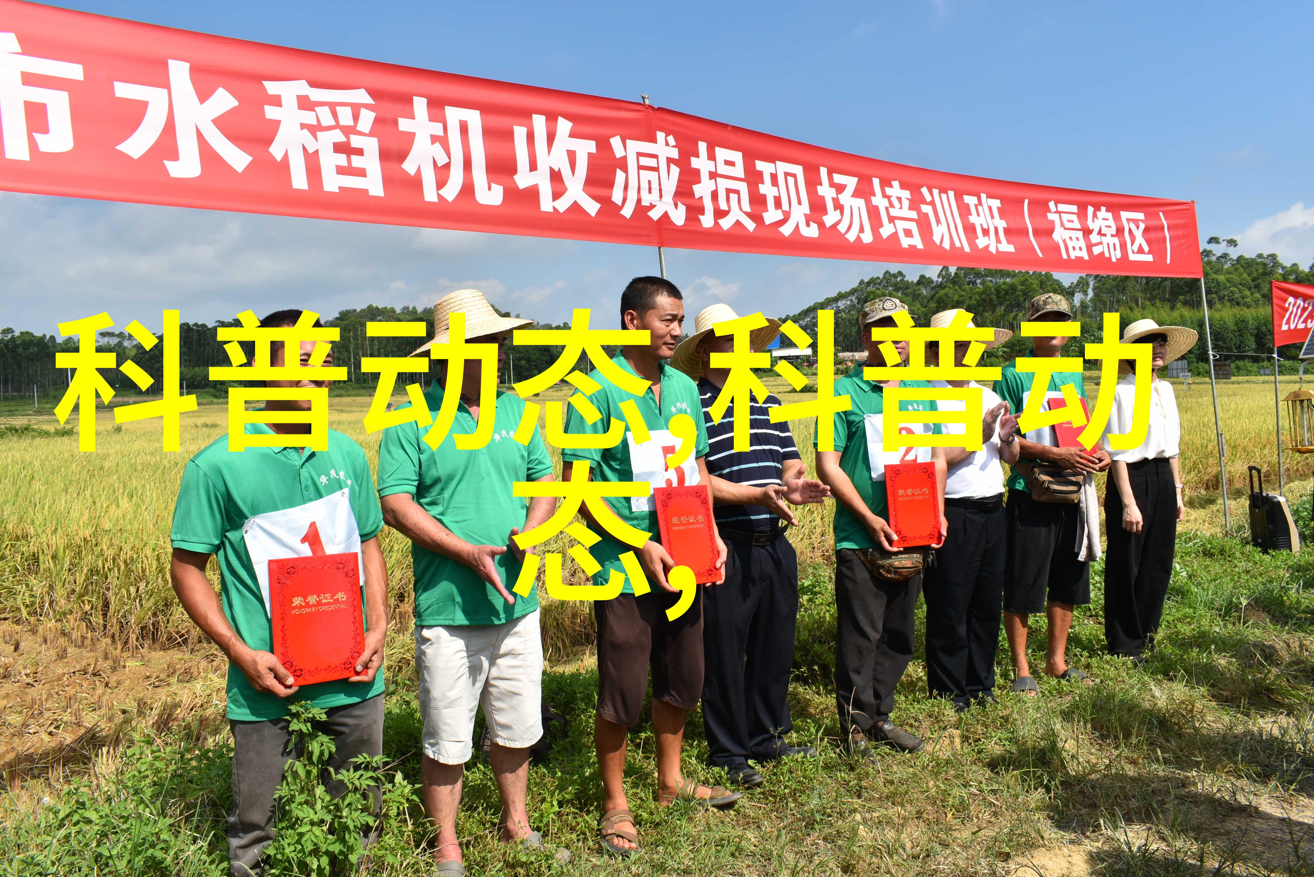 种植灵芝技术与市场前景高效养护方法与商业可行性分析