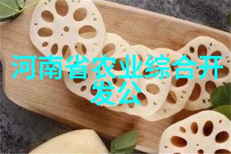 新手如何快速掌握使用各种类型的木工机械技巧
