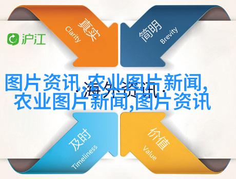 图3：黄芪根，一种典型的补肾养肺草本