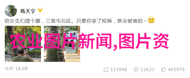 山东寿光无土栽培蔬菜技术高效节水的现代农业创新