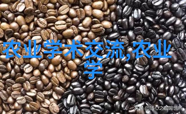 水果世界-种子里的未来带种子的水果图片探秘