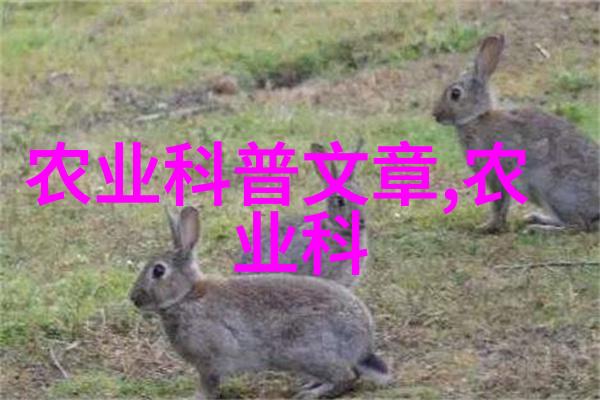 探索金线莲的自然风貌捕捉野生金线莲的精致瞬间
