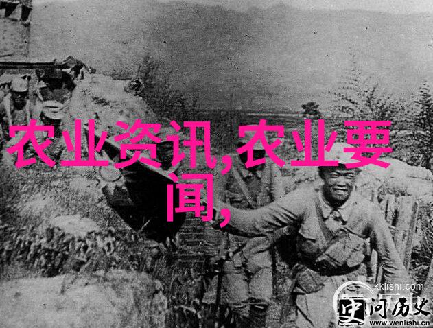 山东阳谷杨树苗市场震撼变动苗木造价信息网紧盯不放