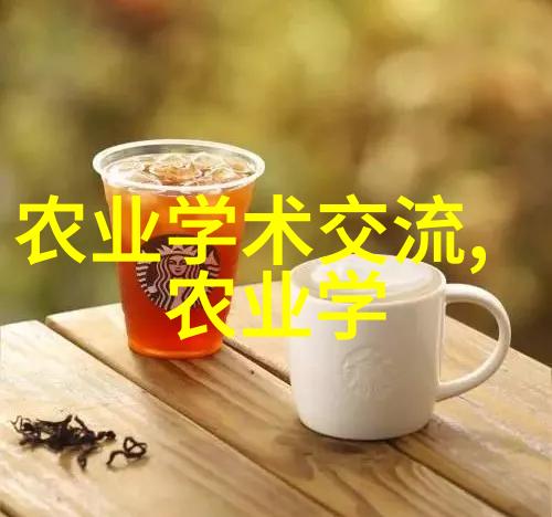 如何通过喝茶来提升免疫力