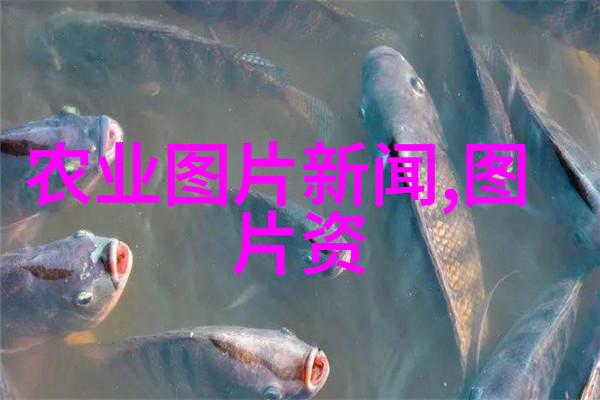 反复强调002726防治猪流行性腹泻的重要性