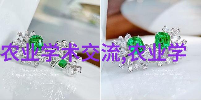 黄金颗粒的守护者玉米种植之谜