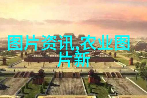 千头椿10公分价格高品质园艺千头椿小盆栽花卉市场价