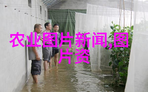 探秘农村常见中草药300种哪些古老草本能成为现代医学的新希望